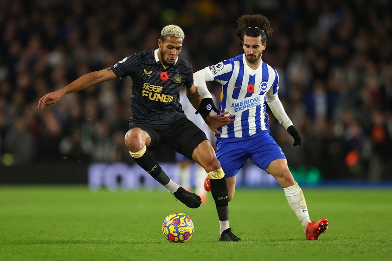 Nhận định Newcastle vs Brighton: “Chích chòe” không hót
