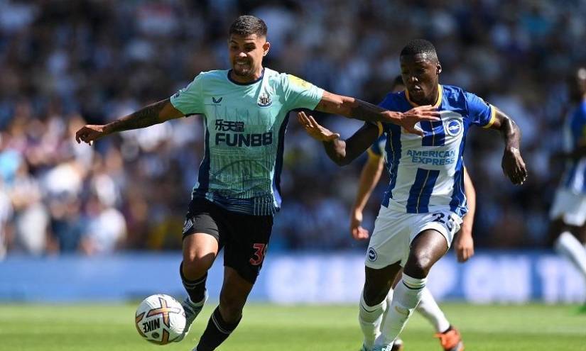 Tỷ lệ kèo trận Newcastle vs Brighton, Ngoại hạng Anh, 1h30 ngày 19/5