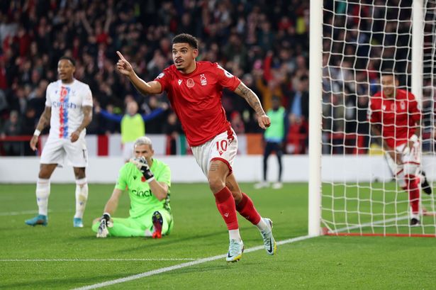 Nhận định Crystal Palace vs Nottingham: Cả hai cùng vui