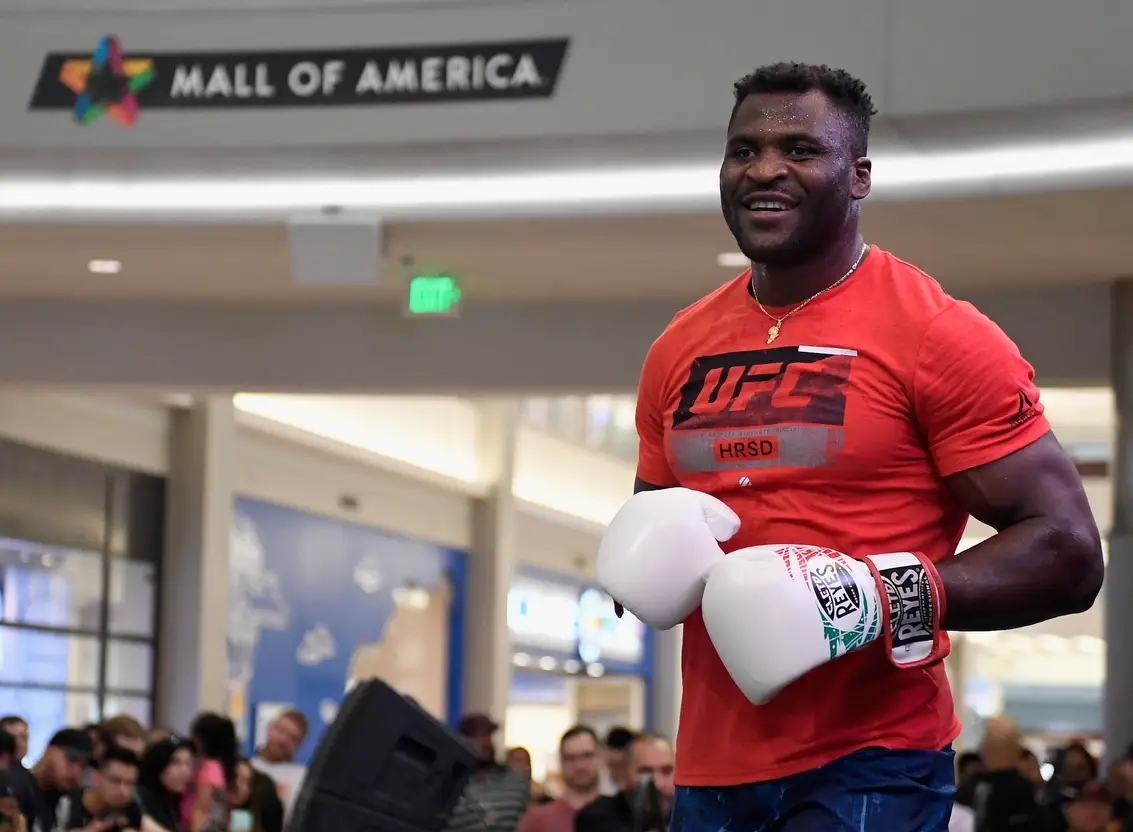 Tyson Fury gi&uacute;p Francis Ngannou kiếm tiền gấp 10 lần ở UFC?