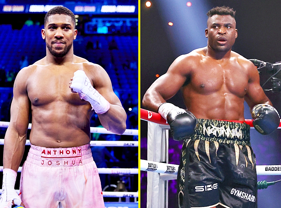 Tiết lộ Francis Ngannou kiếm bộn tiền từ m&agrave;n so găng với Anthony Joshua