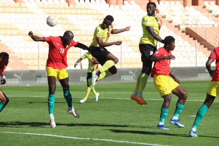 Dự đoán Cameroon vs Guinea, 0h00 ngày 16/1, Cúp châu Phi