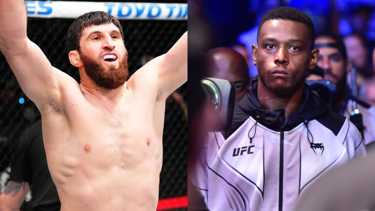 Cựu vương UFC Jamahal Hill: Magomed Ankalaev quá mờ nhạt để được tranh đai