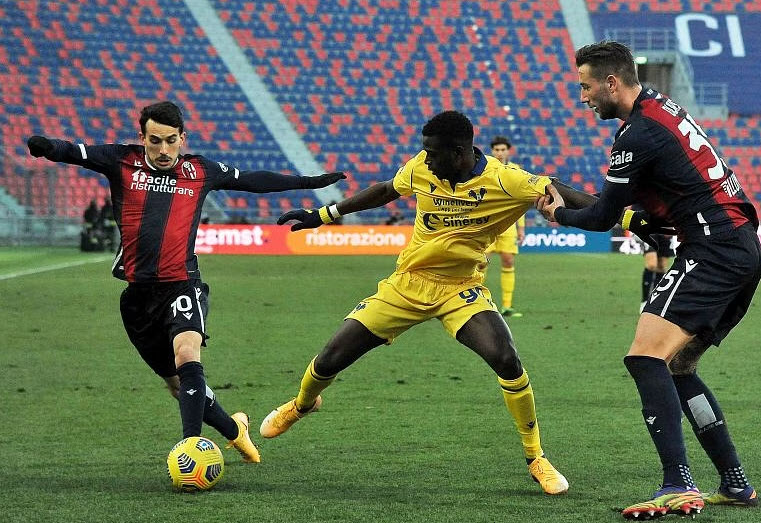 Nhận định, soi kèo Bologna vs Verona: Hấp dẫn cuộc đua top 4