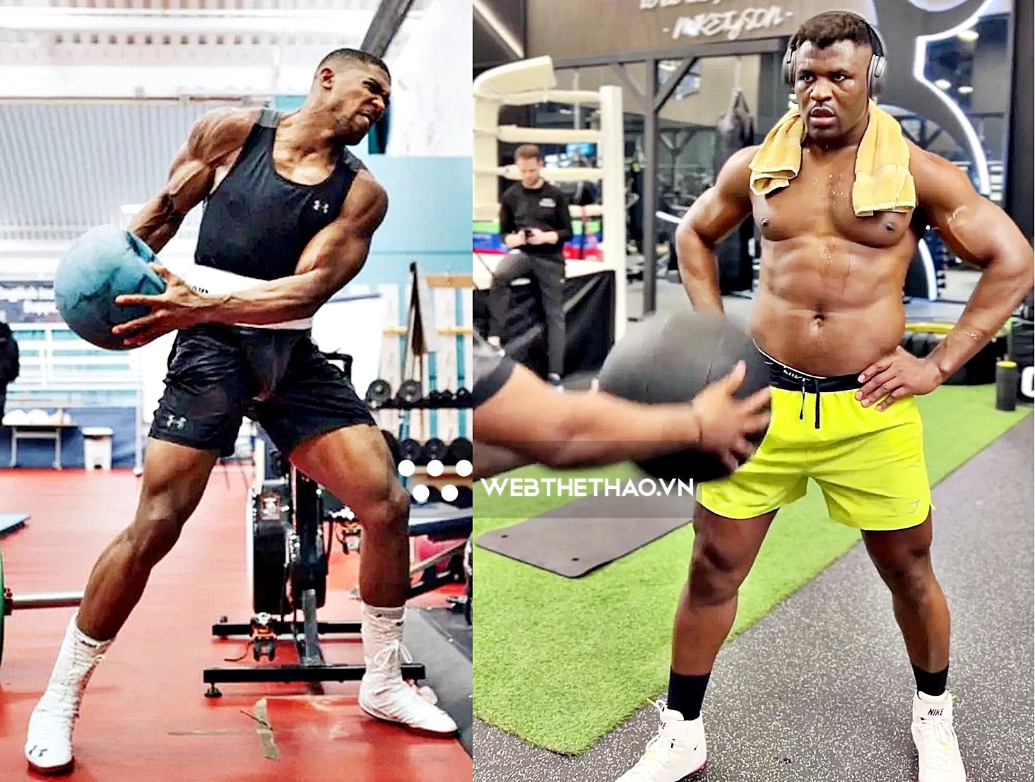 Francis Ngannou tung video tập Francis Ngannou tung video tập