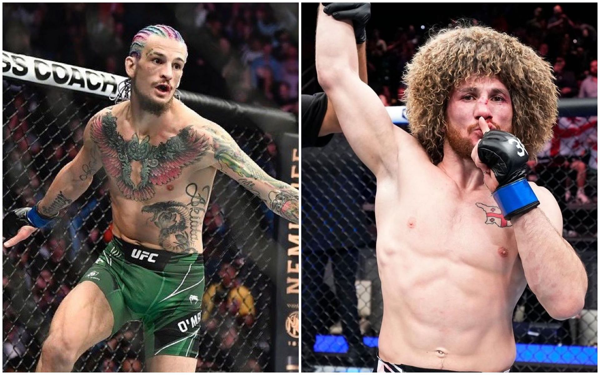 Sean O‘Malley “nghe lời” fan: Tôi sẽ sửa mũi cho Merab Dvalishvili