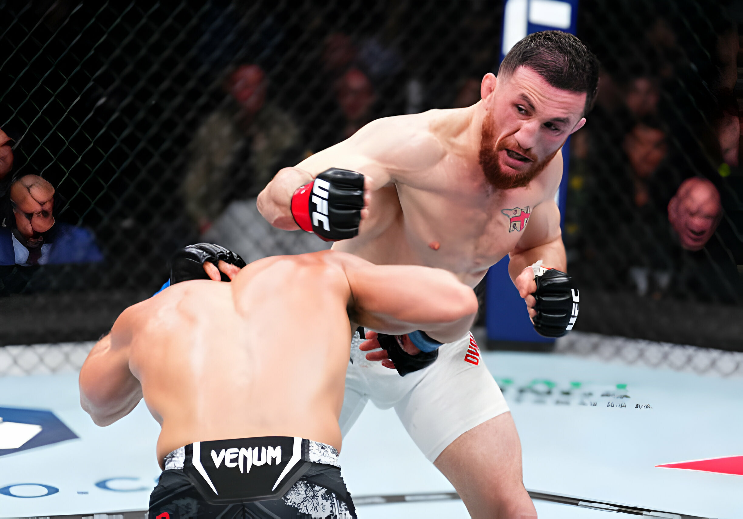 UFC 299: Merab Dvalishivli dự bị cho trận tranh đai O'Malley vs Vera