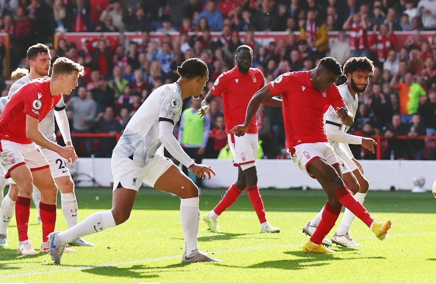 Dự đoán Brighton vs Nottingham, 21h00 ngày 10/3, Ngoại hạng Anh