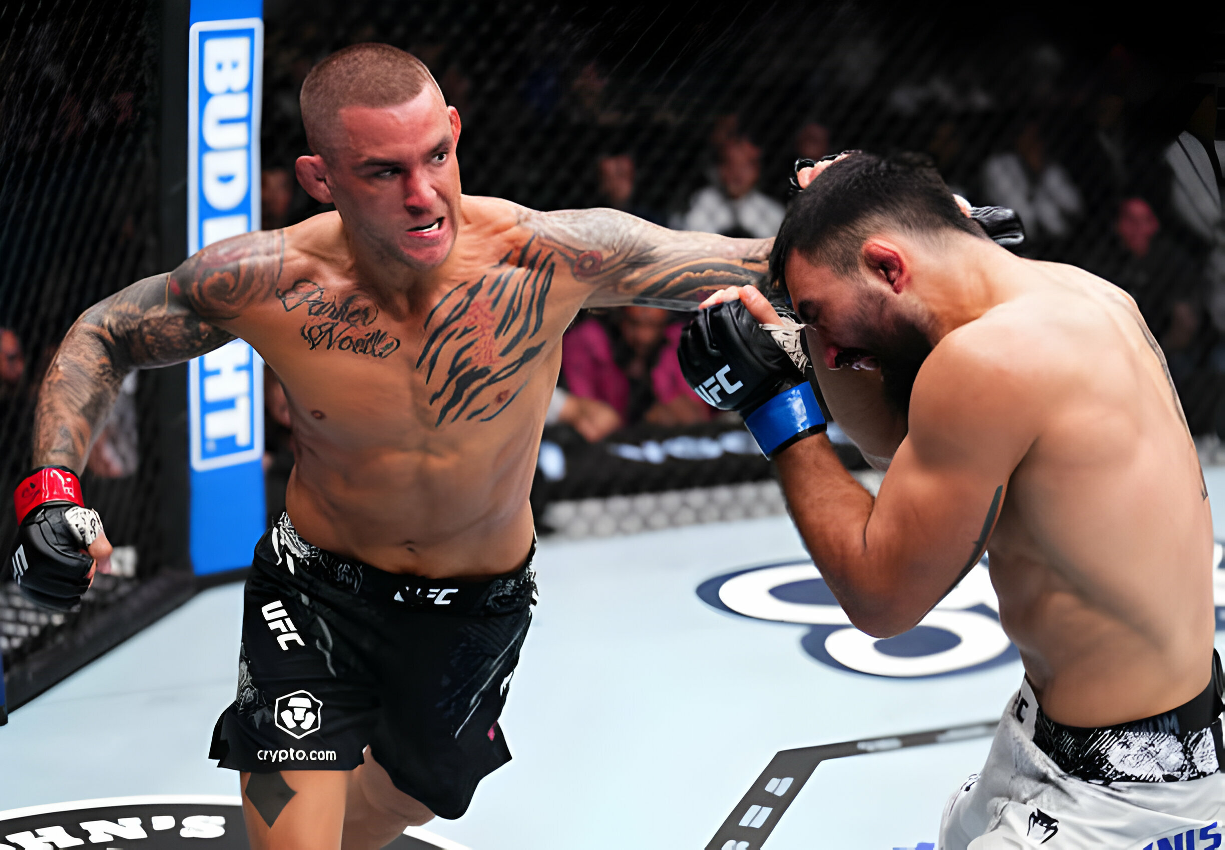 Dana White hết lời ca ngợi Dustin Poirier khi hạ gục Benoit Saint Denis