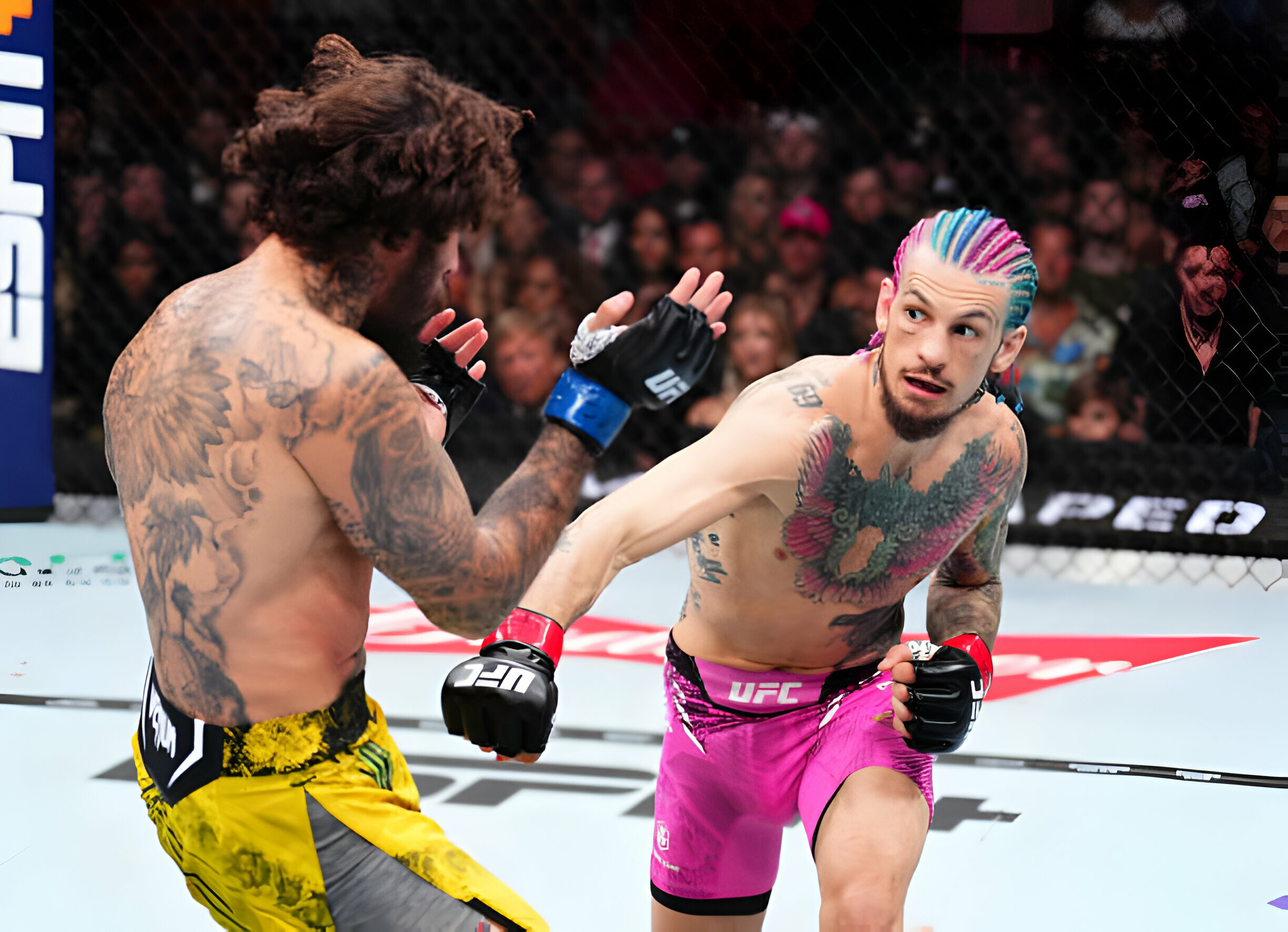 Loạt chỉ số đáng sợ khi Sean O'Malley "hành xác" Marlon Vera