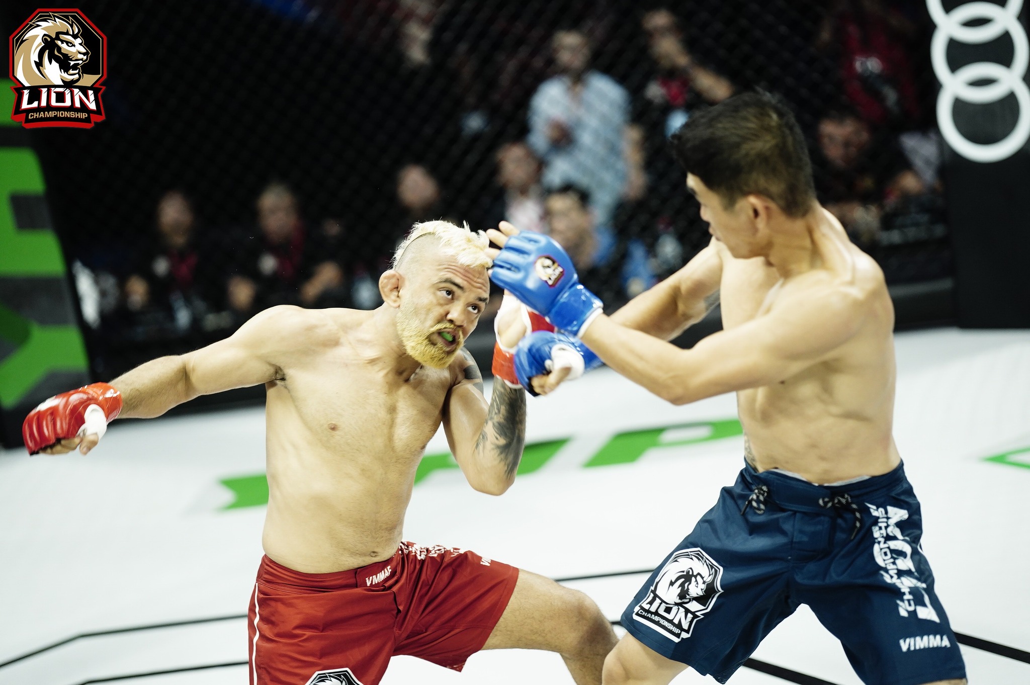 ĐKVĐ LION Championship Robson Oliveira thượng đài tại AFC 31