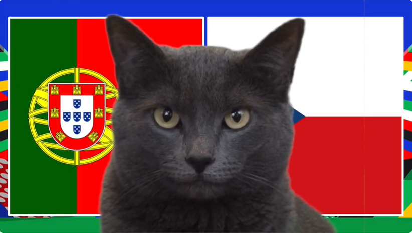 Mèo tiên tri dự đoán Bồ Đào Nha vs Séc, 2h ngày 19/6, Euro 2024