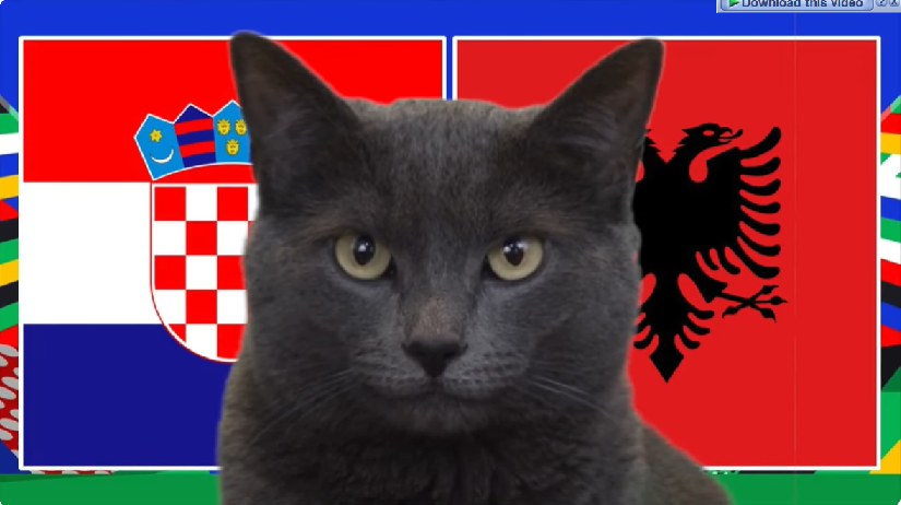 Mèo tiên tri dự đoán Croatia vs Albania, 20h ngày 19/6, Euro 2024