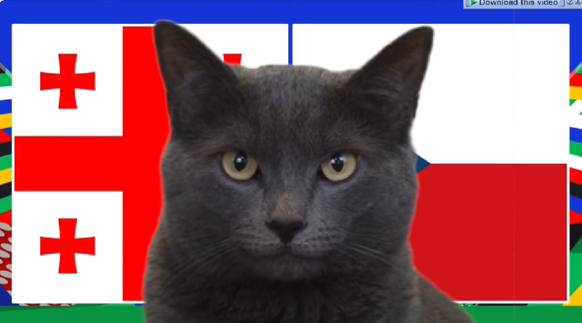 Mèo tiên tri dự đoán Georgia vs Séc, 20h ngày 22/6, Euro 224