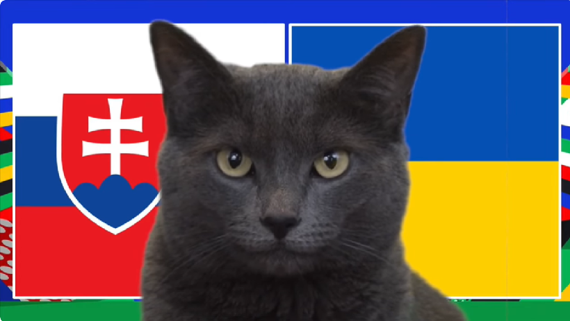 Mèo tiên tri dự đoán Slovakia vs Ukraine, 20h ngày 21/6, Euro 2024
