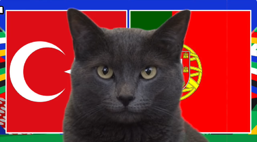 Mèo tiên tri dự đoán Thổ Nhĩ Kỳ vs Bồ Đào Nha, 23h ngày 22/6, Euro 2024