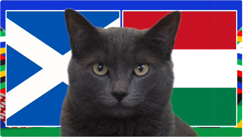 Mèo tiên tri dự đoán Scotland vs Hungary, 2h ngày 24/6, Euro 2024