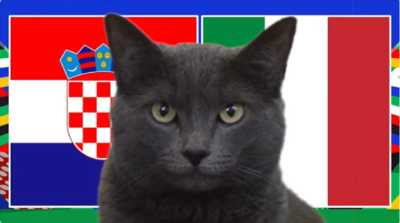 Mèo tiên tri dự đoán Croatia vs Italia, 2h ngày 24/6, Euro 2024