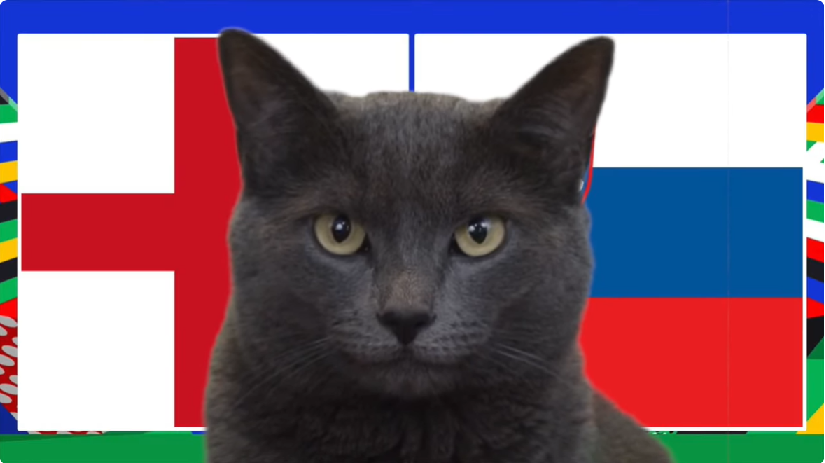 Mèo tiên tri dự đoán Anh vs Slovenia, 2h ngày 26/6, Euro 2024