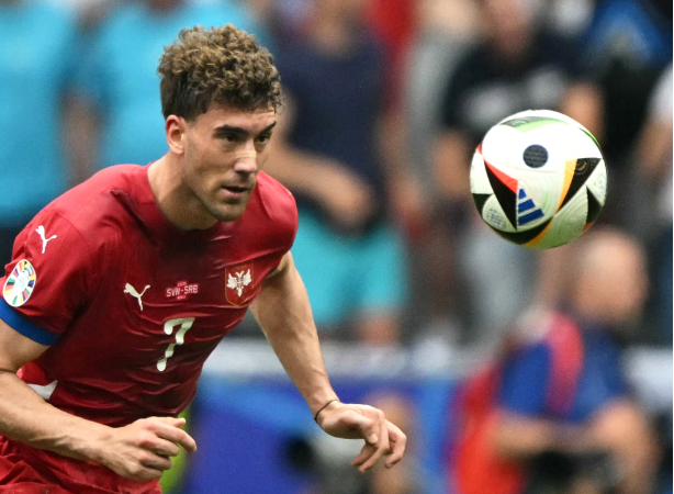 Mèo tiên tri dự đoán Đan Mạch vs Serbia, 2h ngày 26/6, Euro 2024