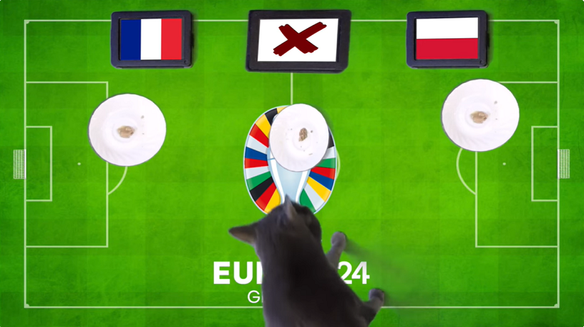 Mèo tiên tri dự đoán Pháp vs Ba Lan Mèo tiên tri dự đoán Pháp vs Ba Lan