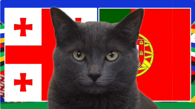 Mèo tiên tri dự đoán Georgia vs Bồ Đào Nha, 2h ngày 27/6, Euro 2024