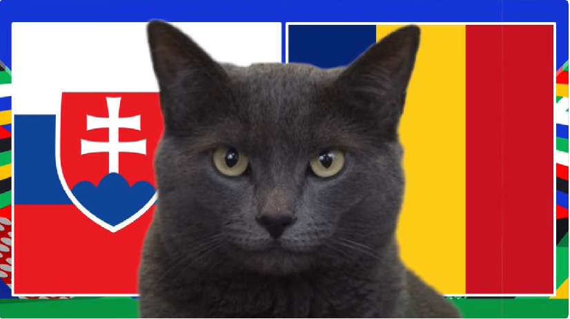 Mèo tiên tri dự đoán Slovakia vs Romania, 23h ngày 26/6, Euro2024