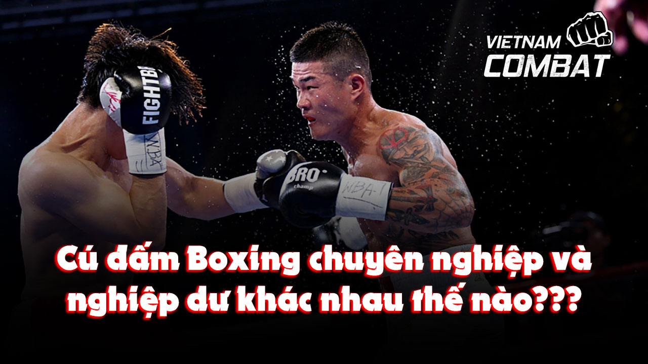Cú đấm trong Boxing chuyên nghiệp khác với nghiệp dư như thế nào ?