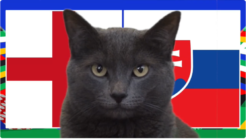 Mèo tiên tri dự đoán Anh vs Slovakia, 23h ngày 30/6, Euro 2024