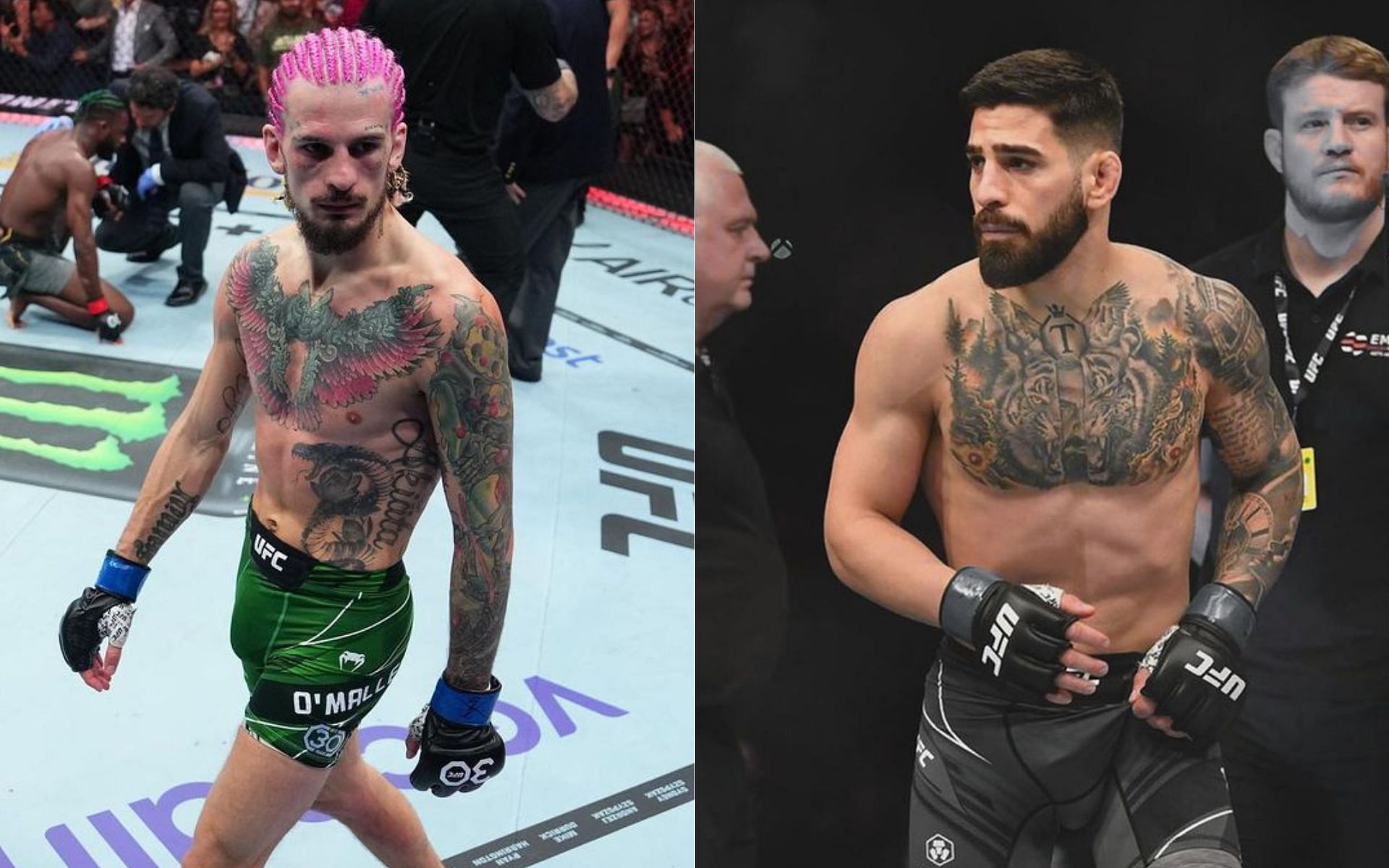 Sean O‘Malley ví Ilia Topuria như “Cody Garbrandt 2.0”