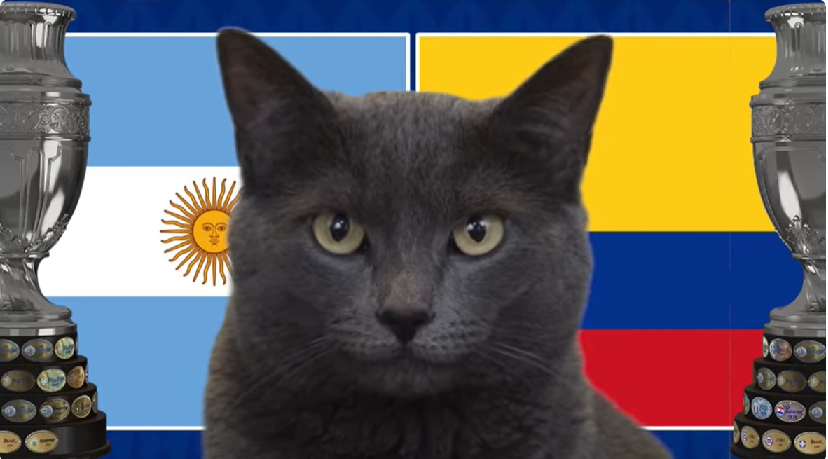 Mèo tiên tri dự đoán Argentina vs Colombia, 7h ngày 15/7, Copa America