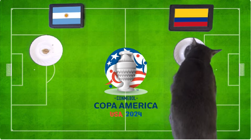 Mèo tiên tri dự đoán Argentina vs Colombia Mèo tiên tri dự đoán Argentina vs Colombia