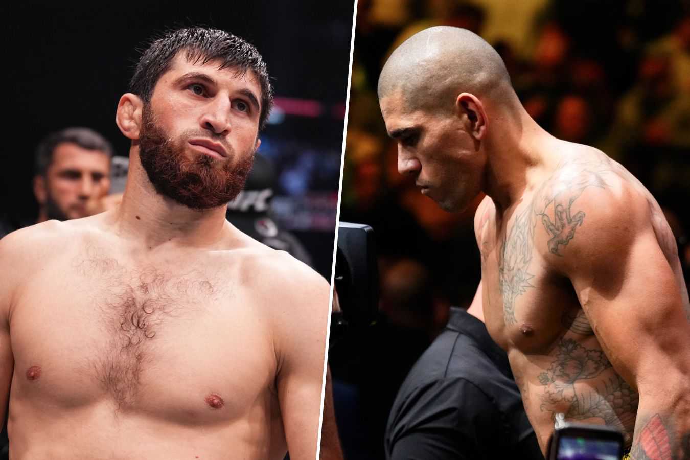 Magomed Ankalaev: "Alex Pereira quá chậm, không chạm nổi tôi"