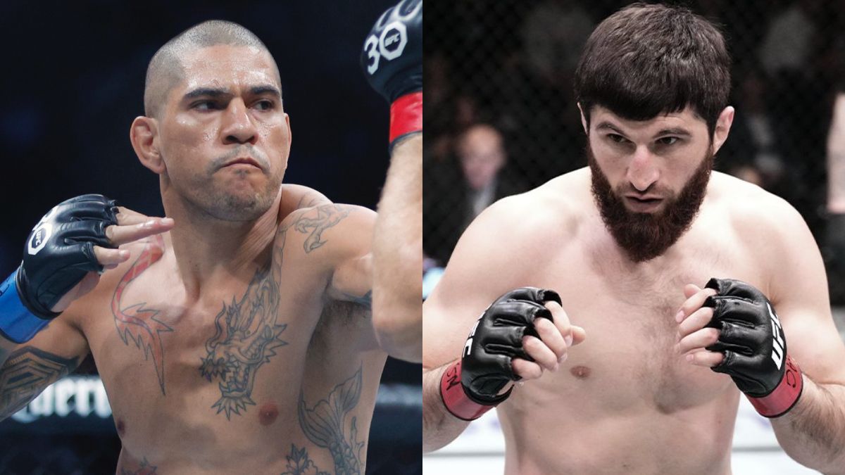 Alex Pereira thực sự đang được bảo vệ khỏi Magomed Ankalaev? Alex Pereira thực sự đang được bảo vệ khỏi Magomed Ankalaev?