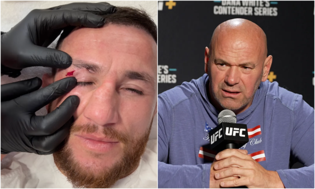 Dana White nổi đi&ecirc;n với Merab Dvalishvili v&igrave; 