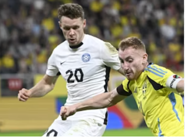 Nhận định bóng đá Estonia vs Thụy Điển: Chủ nhà có điểm