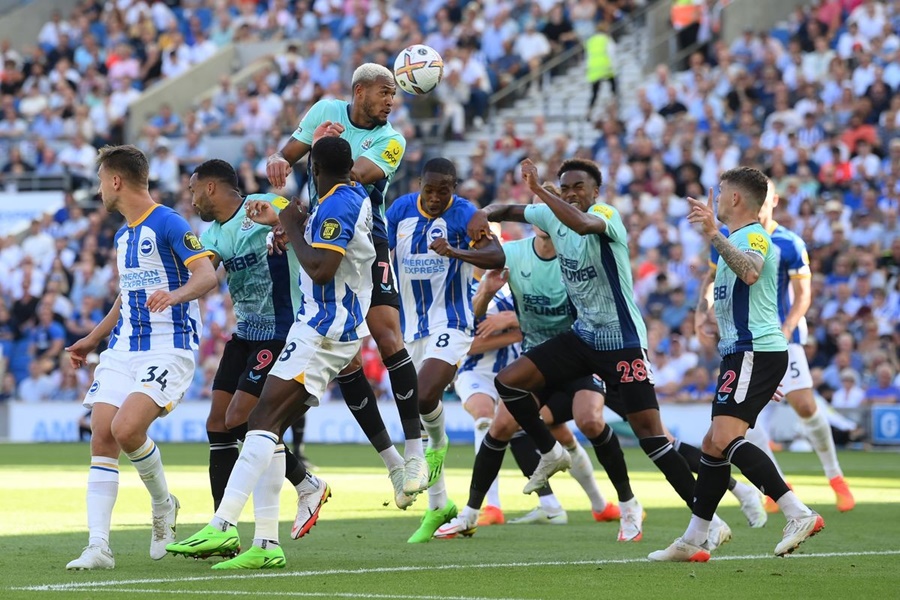 Tỷ lệ bóng đá trận Brighton vs Southampton, 3h00 ngày 30/11, Ngoại hạng Anh