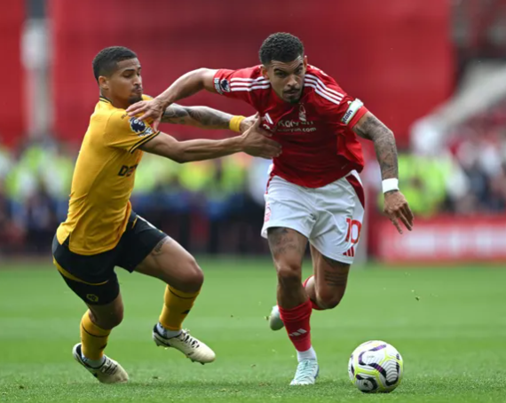 Nhận định bóng đá Wolves vs Nottingham: Bầy sói sập bẫy