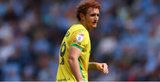 Nhận định bóng đá Norwich vs Brighton: Nhọc nhằn vượt ải