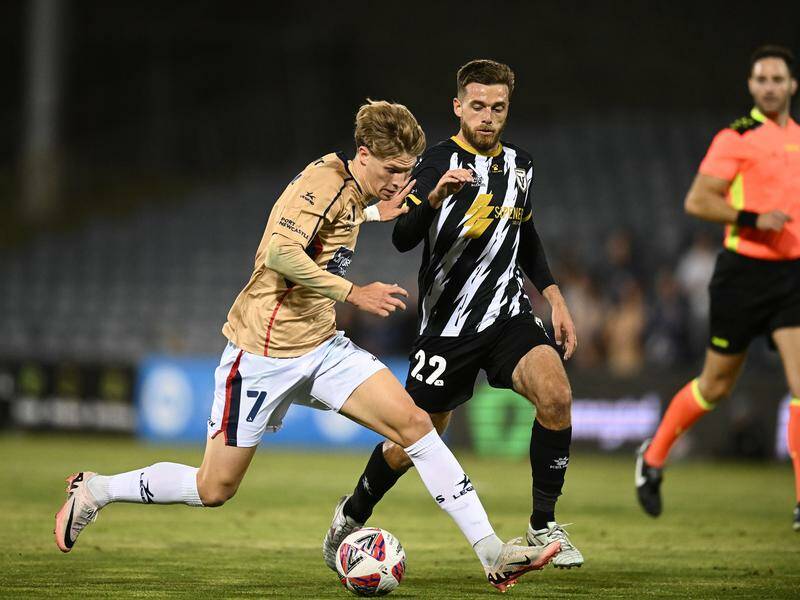 Dự đoán Macarthur vs Wellington Phoenix, 15h00 ngày 20/1, VĐQG Australia 2024/25
