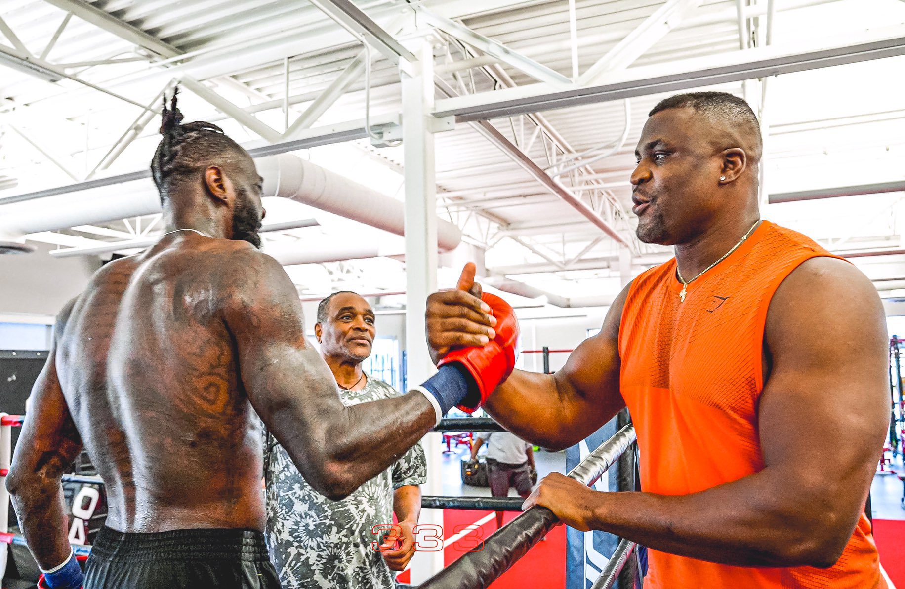 Francis Ngannou ngỏ ý đấu Deontay Wilder, kèm 1 cái tên cho sàn MMA