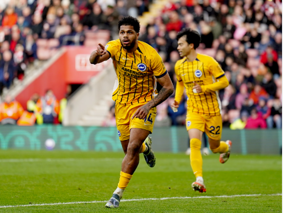 Nhận định bóng đá Newcastle vs Brighton: Chích chòe gặp khó