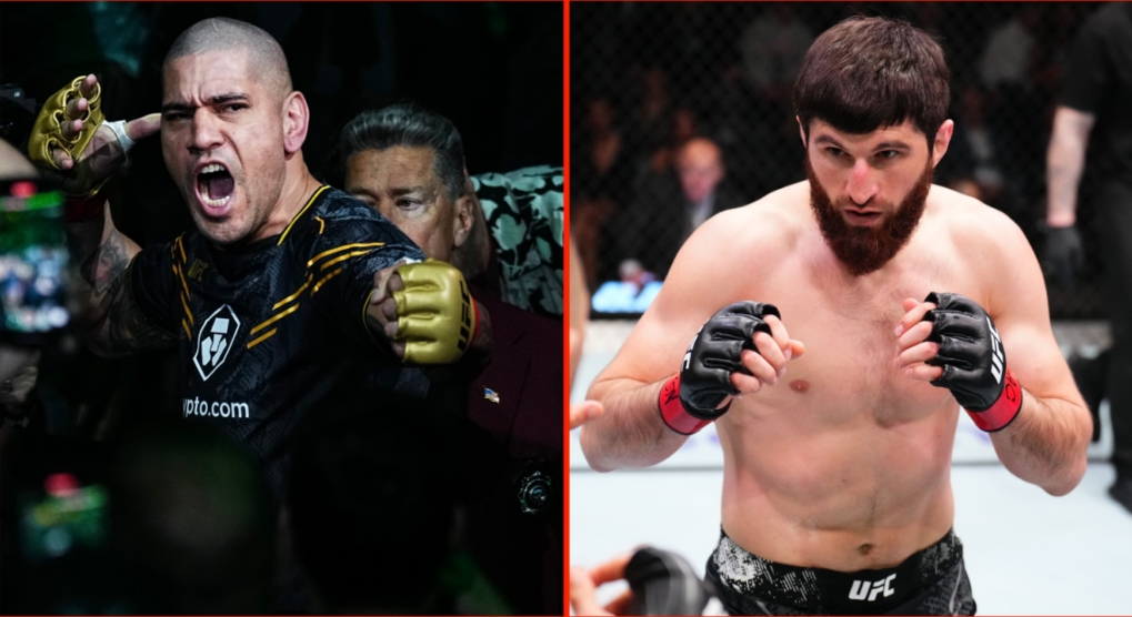 Magomed Ankalaev: Nên và không nên khi đối đầu Alex Pereira