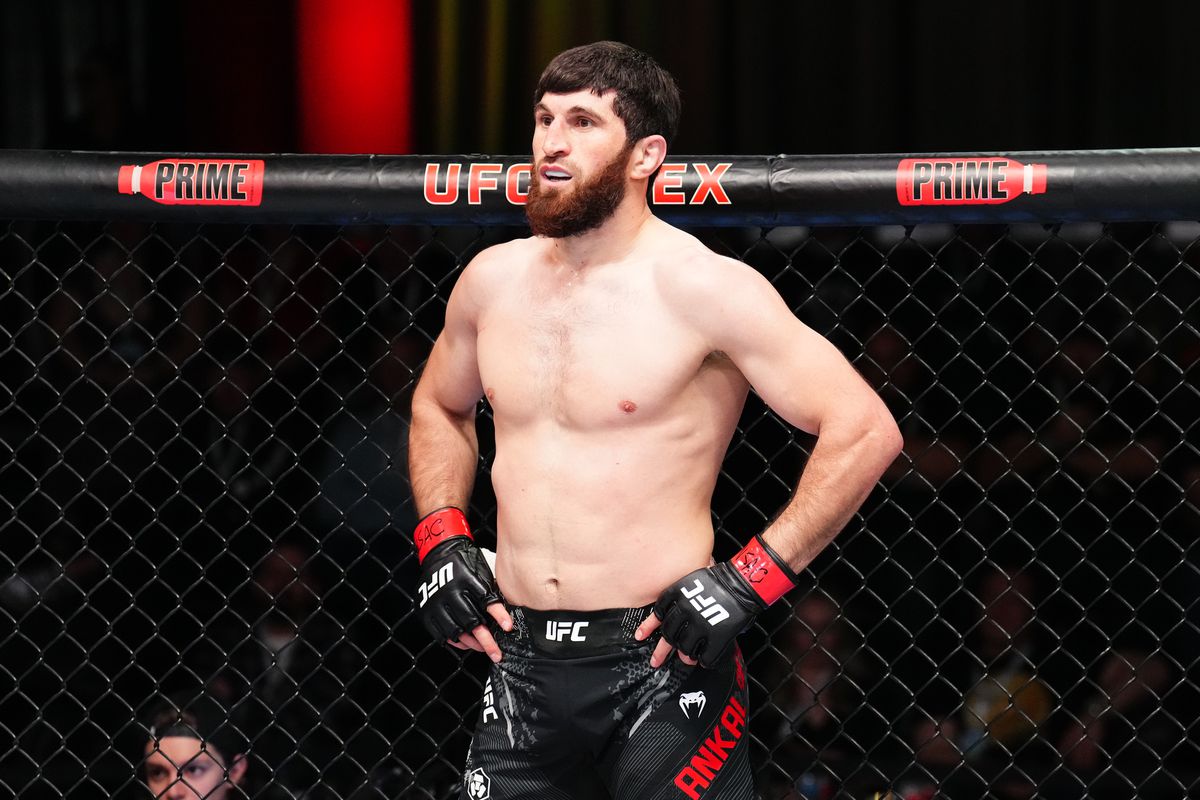 UFC 313: Alex Pereira, Magomed Ankalaev v&agrave; những con số ấn tượng