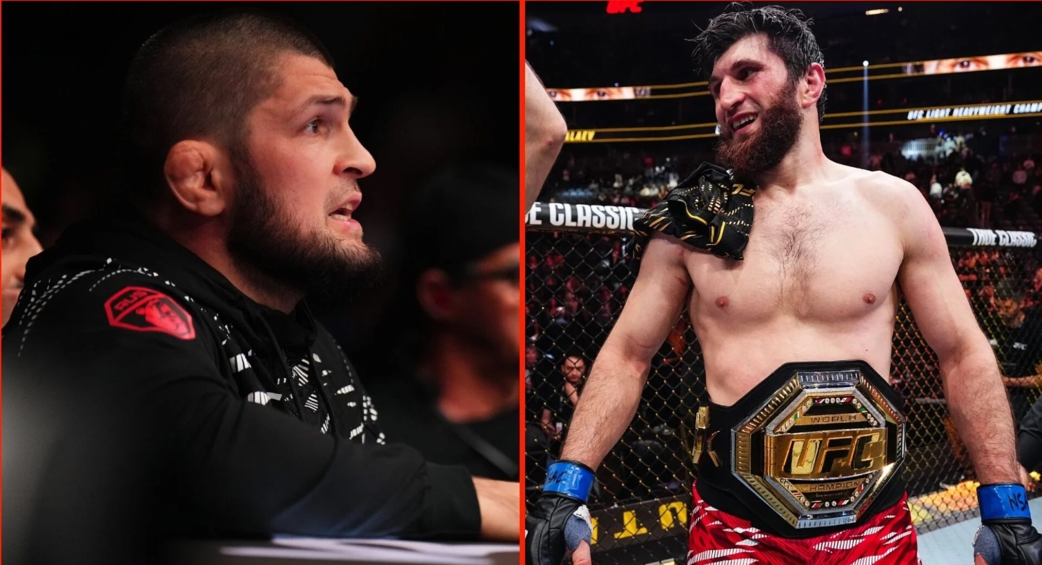 Khabib và dàn sao UFC nói gì trước màn lên ngôi của Magomed Ankalaev