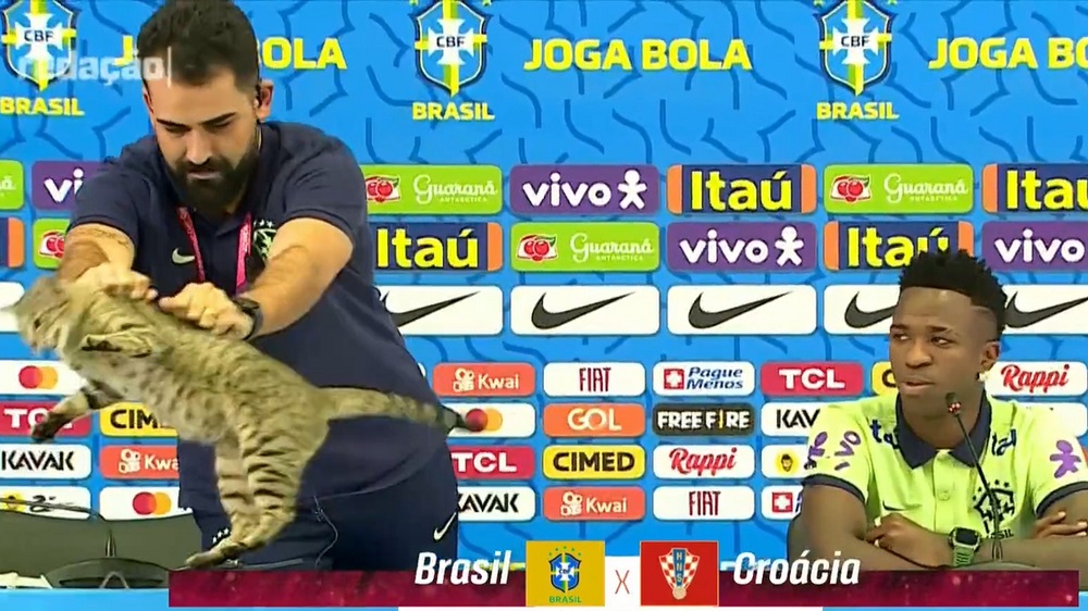 Lời nguyền: Chuỗi trận tệ hại của Brazil kể từ khi con mèo bị ném vào năm 2022