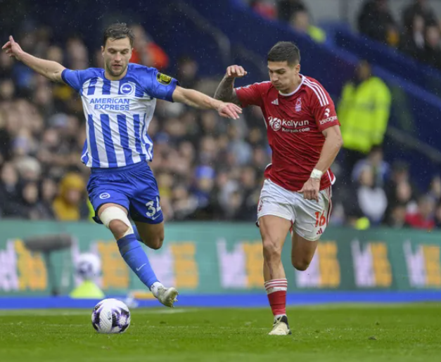 Nhận định bóng đá Brighton vs Nottingham: Cơ hội chia đều