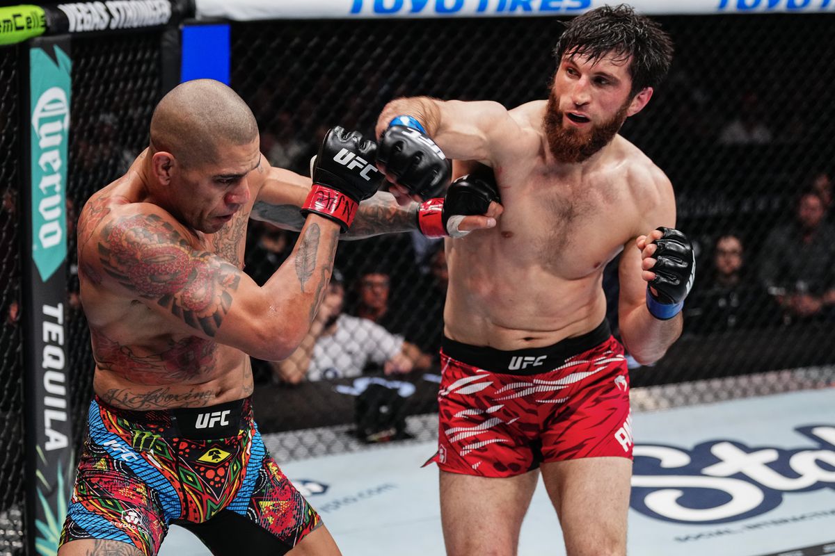 "Alex Pereira không nên tái đấu Magomed Ankalaev"