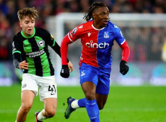 Nhận định bóng đá Crystal Palace vs Brighton: Chim mòng biển đuối sức