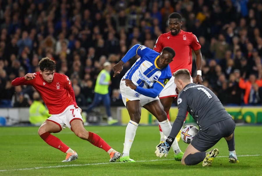 Dự đoán Brighton vs Leicester, 21h00 ngày 12/4, Ngoại hạng Anh 2024/25